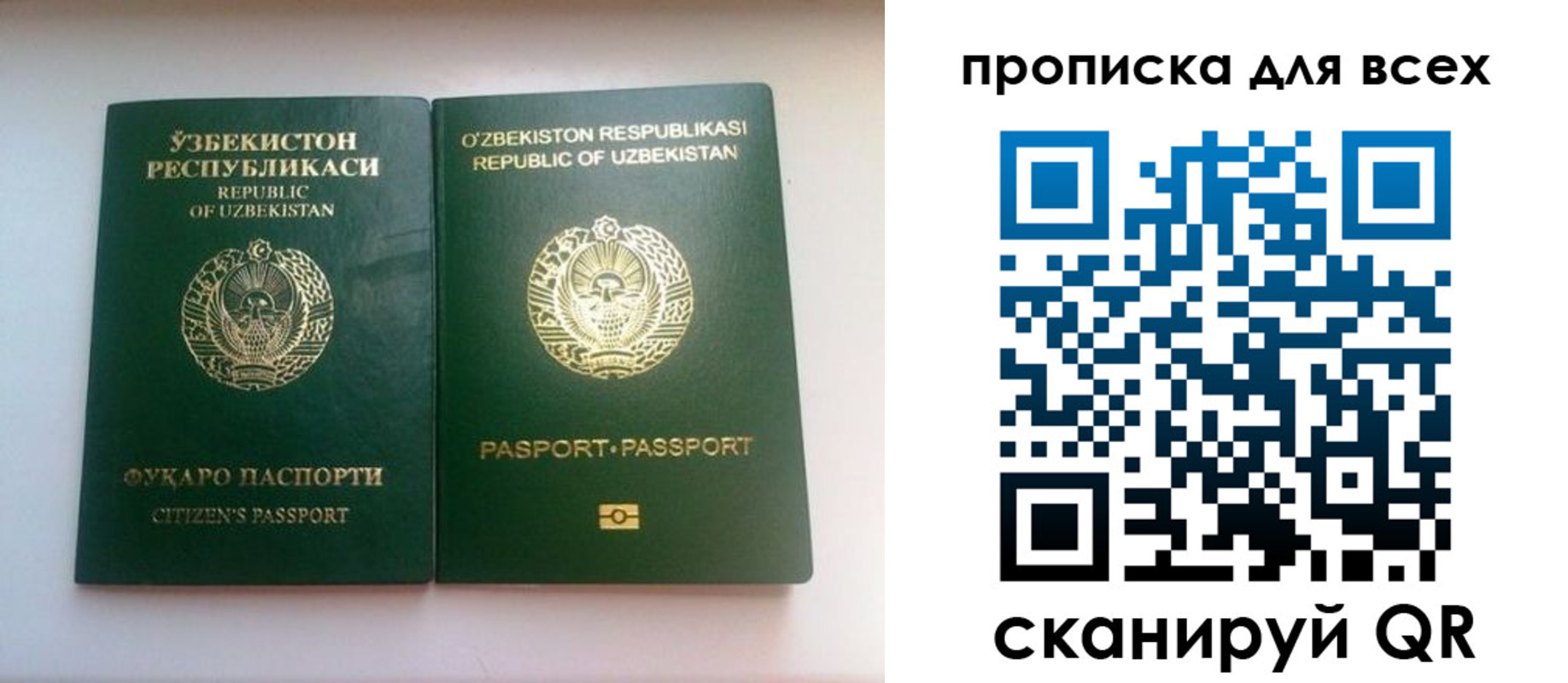 прописка для школы в Ярославской области